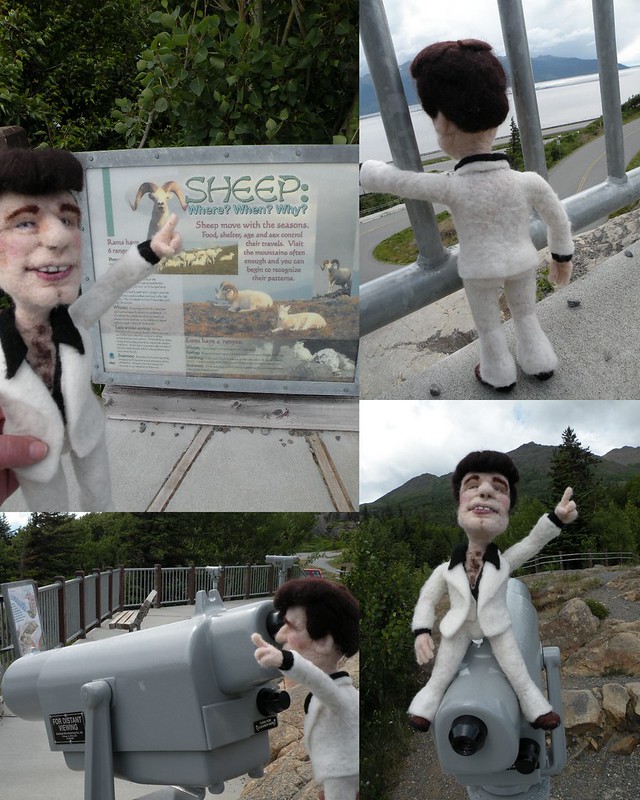 needle felted wool doll learning about wild Dall Sheep in Alaska
