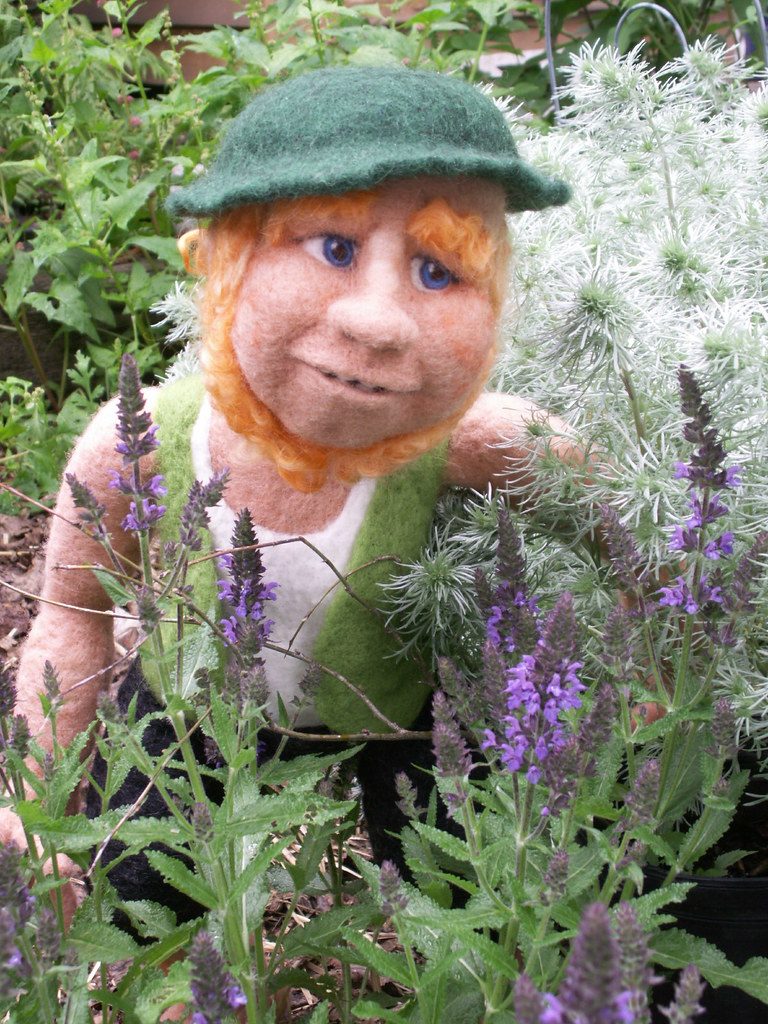 Cyrus in the Garden